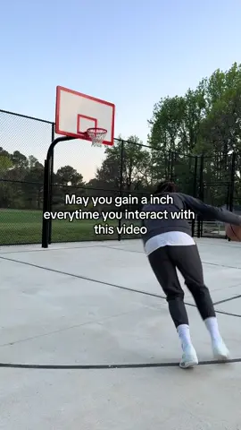 Hopefully bro 🙏 #davidbottenberg #hoopersoftiktok #fyp 