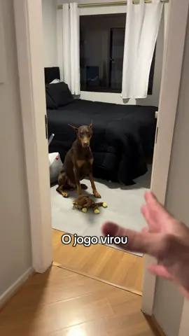 Agora ele tá se vingando de mim só pq coloco as cadeiras no sofá 😂😂😂 É meme. #cachorro #nero #doberman 