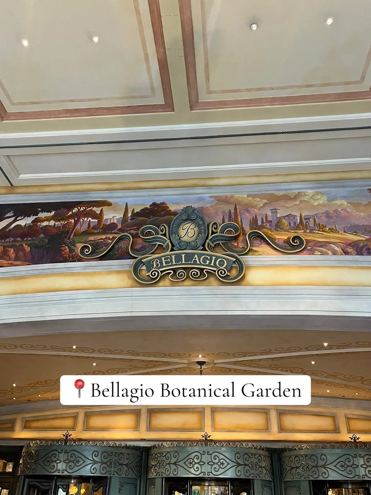 #lasvegas #lasvegasbellagio #bellagiolasvegas #nevada #botanicalgarden #botanicalgardenbellagio #bellagio #fyp #garden #foryoupage 