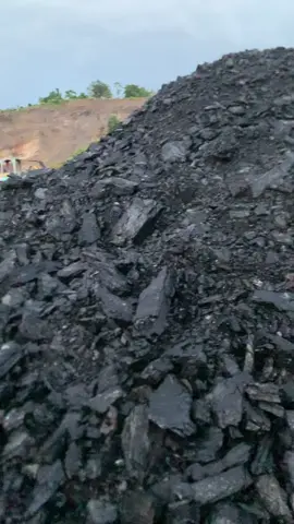Kalau Ada yg seperti ini coba DM Ke saya #batubara #tambang #tambangbatubara #kalimantan #rantau #binuang 
