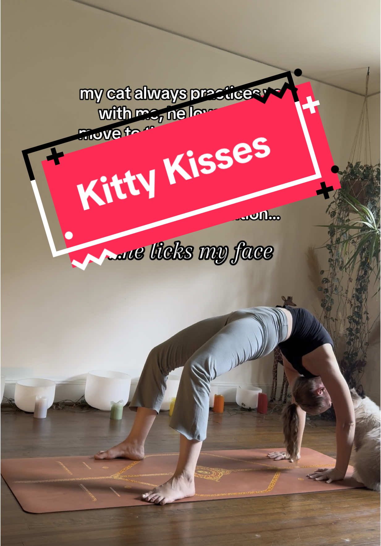 Honestly I love those sandpaper kisses though, they’re sweet 😛 #fyp ##catsoftiktok##yoga##yogalover##catyoga##yogacat