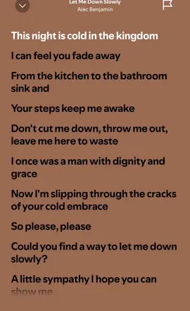 #fyp #fouryou #foryoupage #lyric #song #spotify #full #musica #letmedownslowly #Love #music 