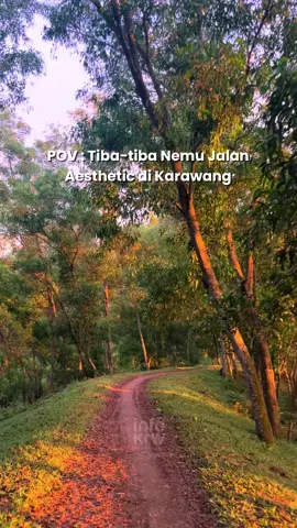 Ada yang pernah lewatin jalan ini?  Dok.infokrw  #karawang #infokrw #vibes 