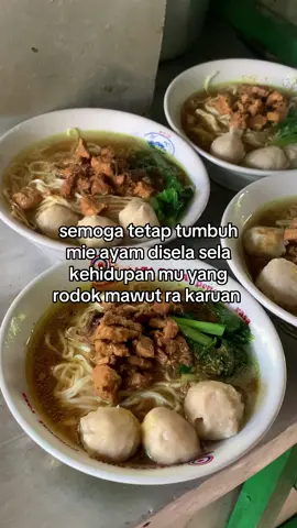 jangan lupa mie ayam hari ini 😋  #warungmieayam #mieayammbakrini #fyppppppppppppppppppppppp #mieayamjogja #mieayamthebstt #mieayamviral #mieayambantul #mieayam #mieayam 