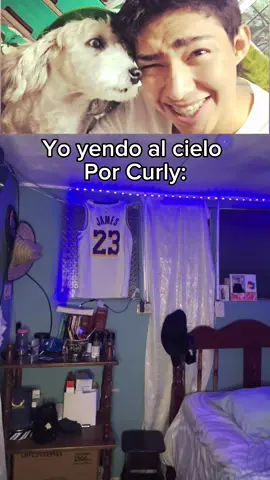 :(((( #curly #fernanfloo #humor #humortiktok #paratii #fypp #influencer #streamer 
