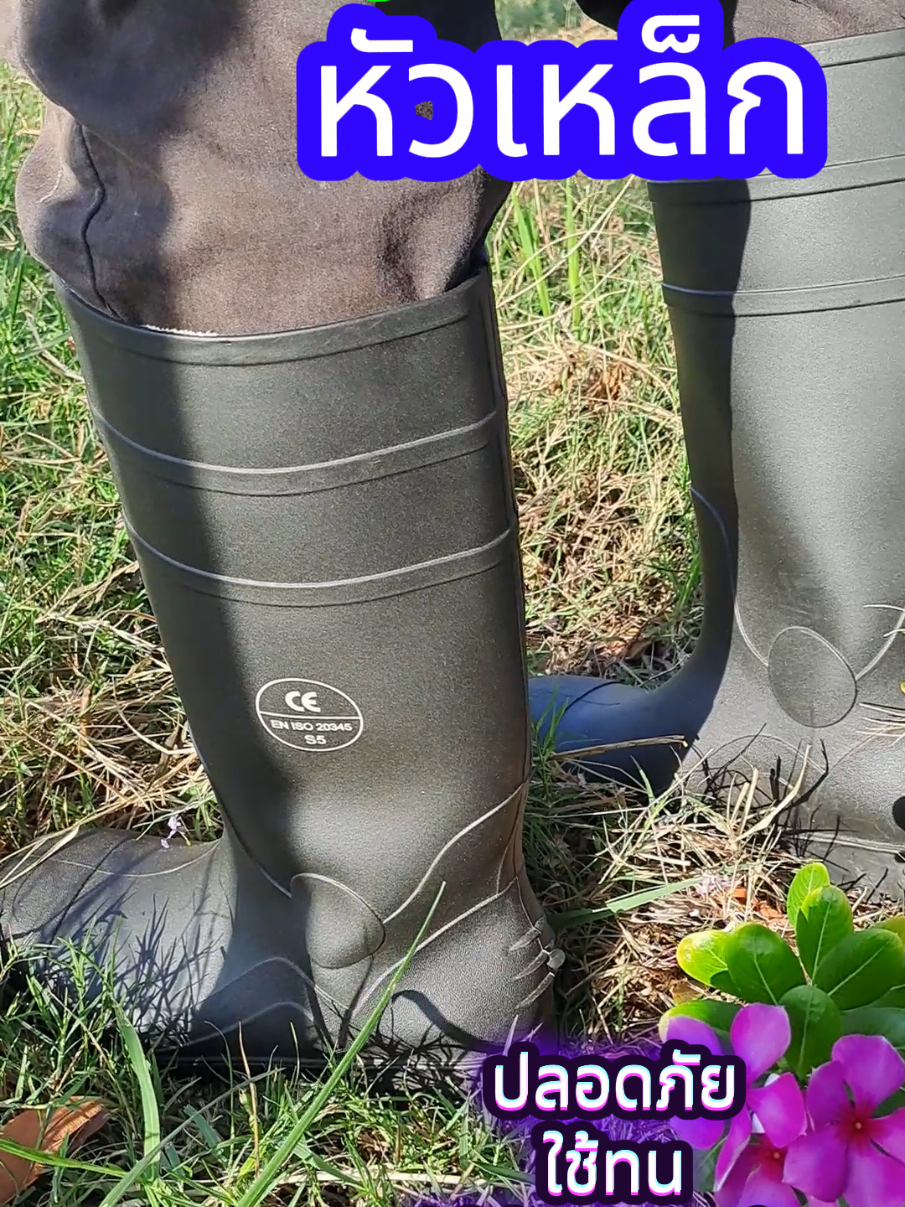 #creatorsearchinsights รองเท้าบูทหัวเหล็ก รองเท้าเซฟตี้ ใส่ป้องกันเท้าดีมาก ใช้ทนพื้นหนา มีหัวเหล็กกันกระแทกเพิ่มความปลอดภัยเวลาทำงาน เหมาะกับใส่ทำงานกลางแจ้ง งานก่อสร้าง งานเกษตรทำสวนทำไร่#นีน่าใช้จริง #รองเท้าบูท #รองเท้าบูทหัวเหล็ก #รองเท้าใส่ทํางาน #รองเท้าเซฟตี้ #รองเท้าเซฟตี้หัวเหล็ก #รองเท้าทําสวน #รองเท้าใส่สบาย #@นีน่าใช้จริง @นีน่าใช้จริง @นีน่าใช้จริง 
