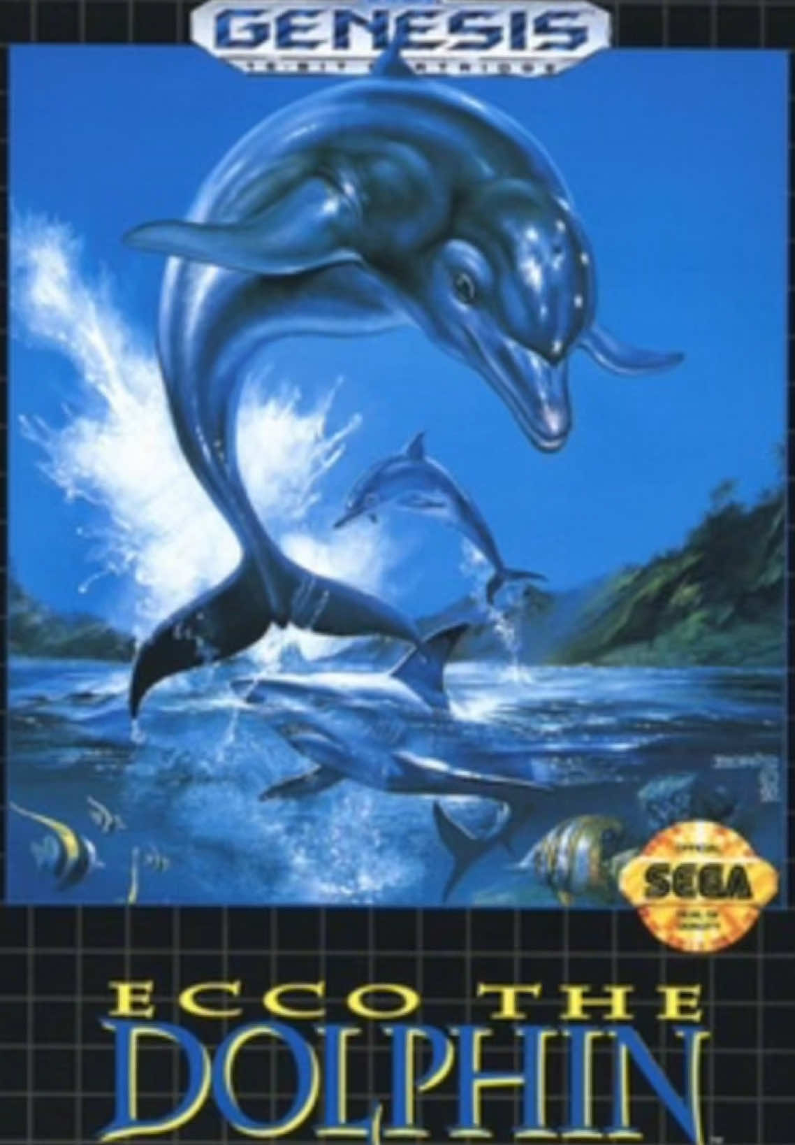 ecco the dolphin return 