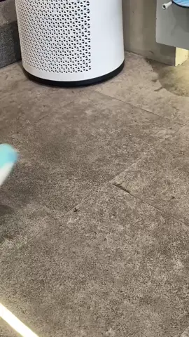 Adidas Boston 13🔥🤩😍 New Colorway And Collection🙌 Available size check website🥰 Tersedia Di Paskal 23, Bandung 100% ORIGINAL  GRATIS Ongkir seluruh indonesia  Pengiriman DOUBLE BOX Check Harga?Kunjungin langsung startinglane.co.id# #runningshoes #startinglane #shoesrecommendations #eventlariindonesia #sepatulari #torunfaster #sepatularikeren #sepatulariori #pelariindonesia #eventlari