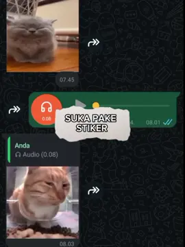maaf ya admin😂 #sound #soundviral #chat #chatwa #ff #mlbb #capcut #fyp #creatorsearchinsights 