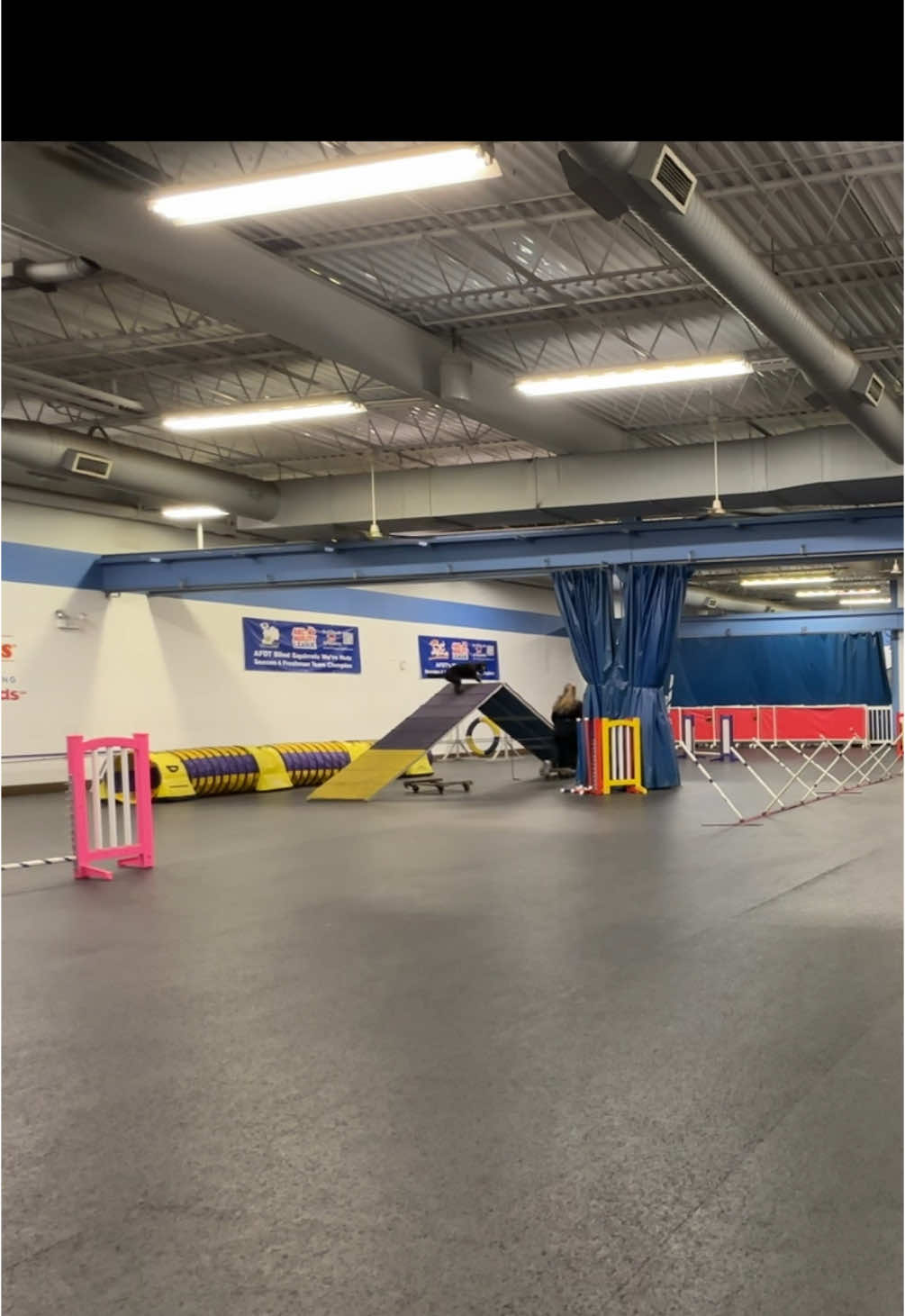 Agility fun with Dosia 🏅#dogagilitytraining #agility #agilitytraining #agilitycourse #poodlemix #dogsports #sportdogsoftiktok #fyp 