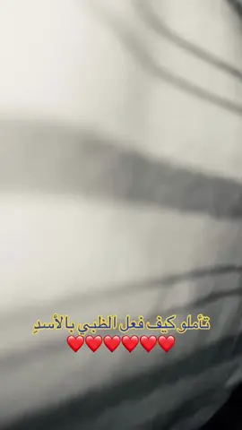 ماشاءالله تبارك الله #fyp #fyp #fypage #viral #fypシ゚ #foryou #4u #foryoupage #اكسبلور 