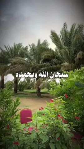 #سبحان_الله_وبحمده_سبحان_الله_العظيم 