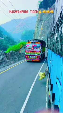 Kunai halat ma sakdai sakdaina ta makawanpure tiger lai king honi j vaye pani makawanpure para 🤟🤟🤟 #fypシ゚ #virall #viralvideo #goviral #goviralvideo #furyoupage #creatorsearchinsights 