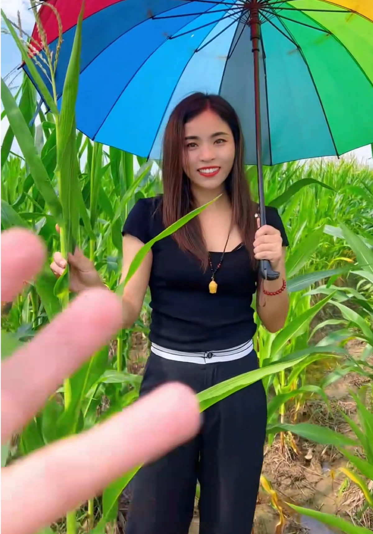 Có ai ghét rửa xe không nhỉ? #kumisai #mayruaxe #trungtammuasam #dienmaydanggia 