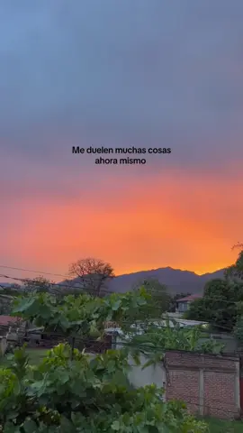 #estadosparawhatsapp #fypage #viralvideo #fy #greenscreenvideo #musica #parati #viraltiktok 