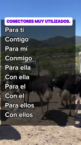 #inglesgringo #clasesdeingles #aprendeingles #aprendeingleseeuu 