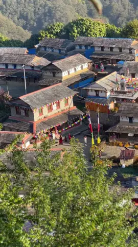सुन्दर घान्द्रुक गाउँ 🏡🕊️🕊️#ghandruk #ghandruk_village #peace #beautifulview #tiktoknepal #foryoupage #fyp 