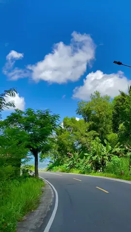 Pakis view pantai telengria #pacitan #pacitanstory_ #mentahanvideo #storywa #fyp 
