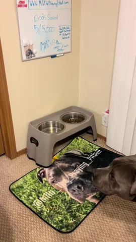 Ephesians 2:10 #pitbull #prayer 