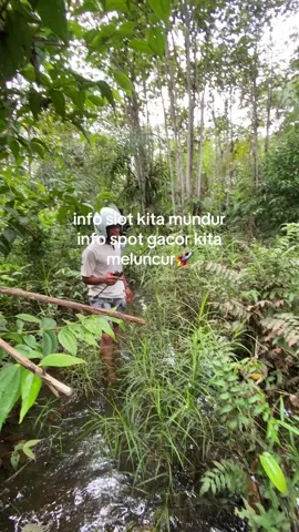 gass ketua🚀#mancin#storimancing #spotmancingliar#hutankalimantan #kalimantantegah #masukberandafyp 