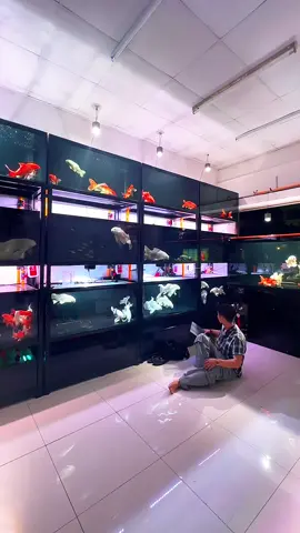 Vợ tôi chẳng bao giờ giận tôi cả 😂#tiktoklive #viralvideo #xuhuong #viralvideo #phitầncửucáp 