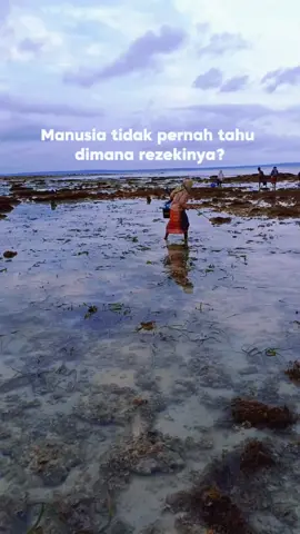 hape kentang jd luar biasa