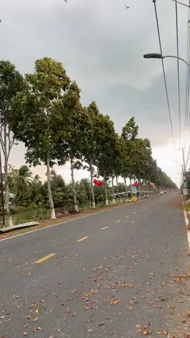 Ai ở giồng riềng chắc biết đoạn đường này . Đoạn đường sao rơi quá đẹp #xuhuongtiktok #viraltiktok #nguyentandat12052001 #viralvideo #bennhutgiongrieng #goquaokiengiang #kiengiang #kiengiangquetoi #chobennhut #chobennhut #rạchgiakiengiang68 