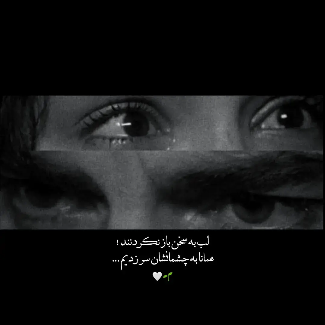 #frypgシ #fry #persian #poem #text #تکست #trend #شعر #poetry #اشعار 