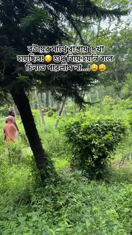 বউয়ের সাথে রাস্তায় দেখা হয়েছিল!😒 শুধু বিয়ে হয়নি বলে চিনতে পারলাম না…!😩 #funny #comedy #status #foryou #viral #foryoupage #trend #trending #trendingsong 