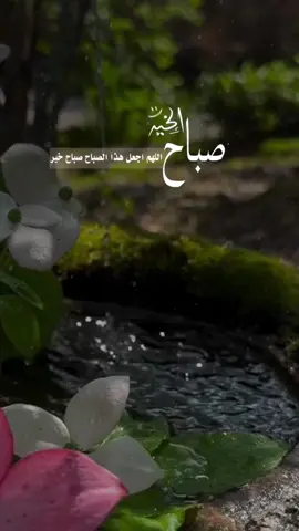 #CapCut #صباح_الخير #explore #fly #تصميم_فيديوهات🎶🎤🎬 