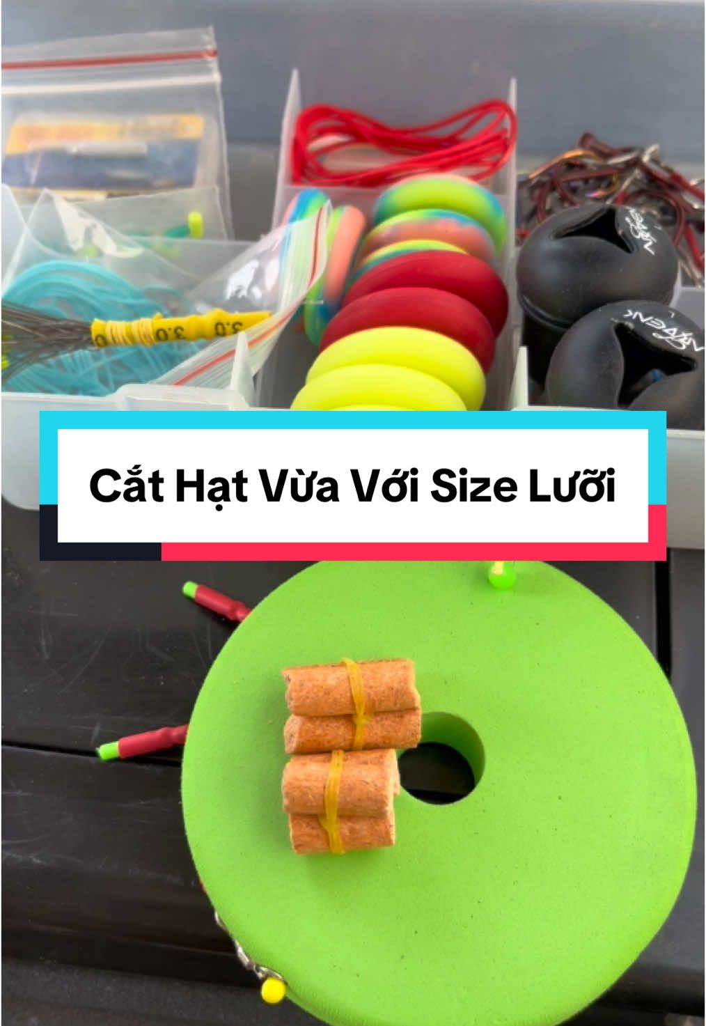 Các bác có hay cắt hạt xả không ? Có thể cá ở quê em nó nhỏ nên phải làm như thế ?  #cauca #sanhang #tramden #fishing #xuhuong 