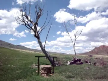 “i hate love not for what it brings but for what it takes”#digitalcamera 