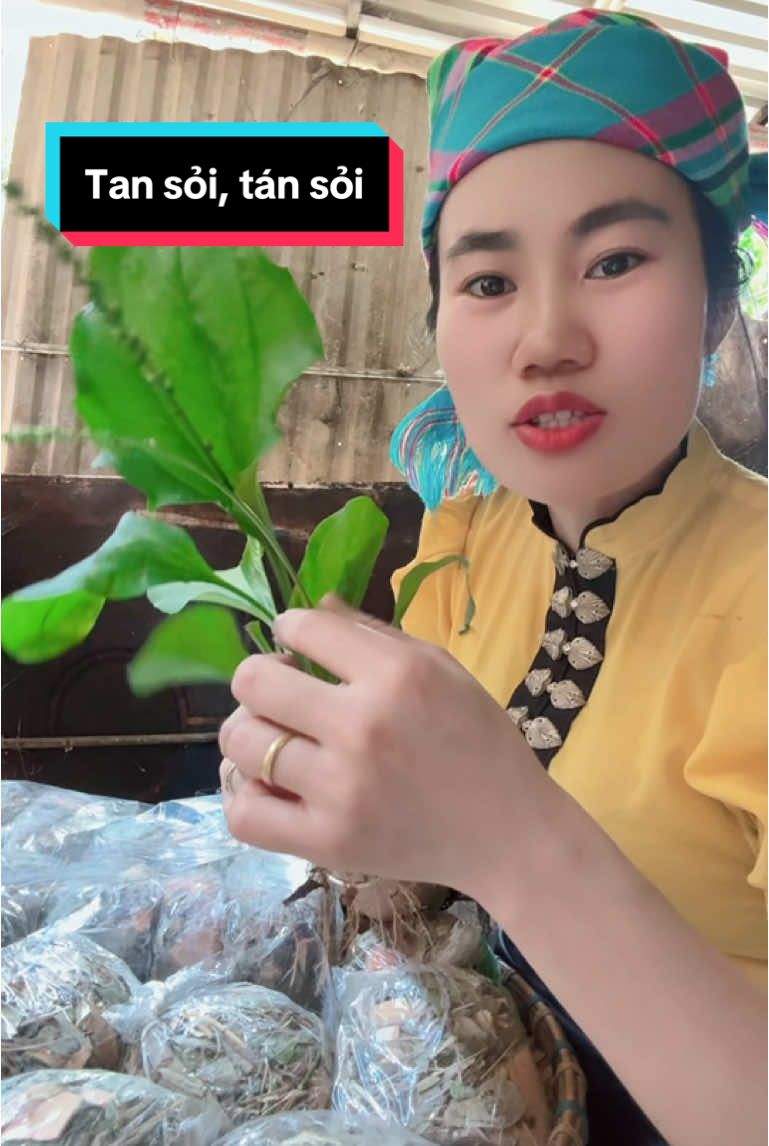 Tan sỏi, tán sỏi #xuhuong #xuhuongtiktok #soithansoimat #soibangquang #soinieuquan #viemduongtietnieu 