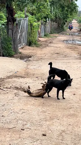Bắt tại trận hết cãi chỉ tôi chỗ cái thằng đứng nhìn em nó đi với thằng khác 😅😅
