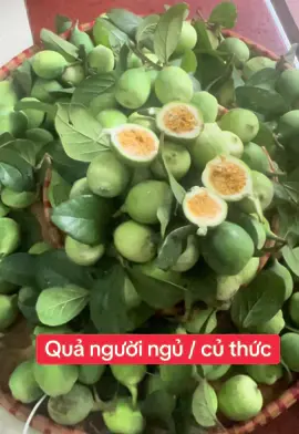 #trauco #thaoduocthiennhien #thaoduoctaybac #bothan #danongdichthuc #congdungtuyetvoi 