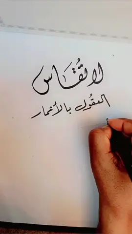 #الخطاط_شفاف #العقول 