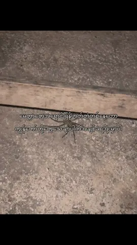 အဲ့လိုရက်မျိုးကိုမျှော်လင့်နေပါတယ်ဗျာ####views #fypシ゚ #foryou #စာသားcrd 