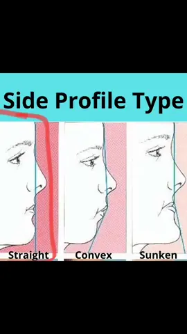 Straight side Profile is georgeous  This Just my OPINION don't judge  fyi: i got the photos from pinterest, this just example okay #chubby #chubbygirl #forehead  #torso #longtorso #shorttorso  #visual #visualweight #highvisualweight #boldmakeup  #eyes #blueeyes #eyeshadow #eye  #ectomorph #mesomorph #bodyshape #rectangle  #ectomorphbody #lip #lipstick #lips #eyebrows #eyebrowtutorial #eyebrow #eyebrowshape #eyes #eyeshadow #asianeyes #asian #asia #asiangirl  #hooded #hoodedeyes  #eyesonme #almondeyes  #eyeshadowtutorial #Eyeliner #eye #roundeyes #lips #lipstick #lip #lipsshape #fulllips #lipcolourchallenge #lipstikviral #upturnednose #snubnose  #nose #nosequeponer #nosejobcheck #nosecontour #noseshape #hookednose #haileybieber #sanatwice  #hair #faceshape #hairstyle #haircut #hairtok #hairtype  #roundface #face #facegirls #beautifulface #prettylittleliars  #fyp #fypシ゚ #viral #viralvideo #xyzbca #aesthetic #girls #girlssupportgirls #GlowUp #skincare #skin #devonaoki #jenniferlawrence #moots #foryou #4u #4upage #jennie #ningning #chaewon #gigihadid #selenagomez #bts #jungkook #taehyung #blackpink #spiderman #lesserafim #aespa #army #viraltiktok #beautytips #BeautyTok #idol #model #singer #beautyhacks #beautystandard #lisa #lisablackpink 