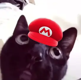 meow #supermarioworld #funny #cat #capcut #meme #fyp 
