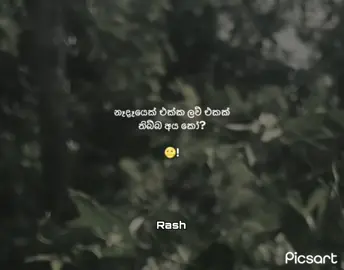 #කියමු_බලන්න_කස්ටියම_😜❤️  #froyoupage♥️ #fyppppppppppppppppppppppp #fyyyyyyyyyyyyyyyy #මාතර_අපි__දකුණේ_❤️ @A S H I > 🦋 