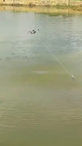 #satisfying #machine #in #action  #foryou