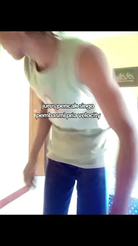ses