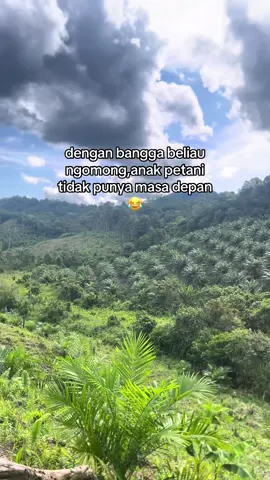 kosong#sawitbalap #sawitkalimantan #petanimuda #sawitontiktok #petanisawit #sawit 