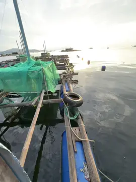 chờ anh em nhé…