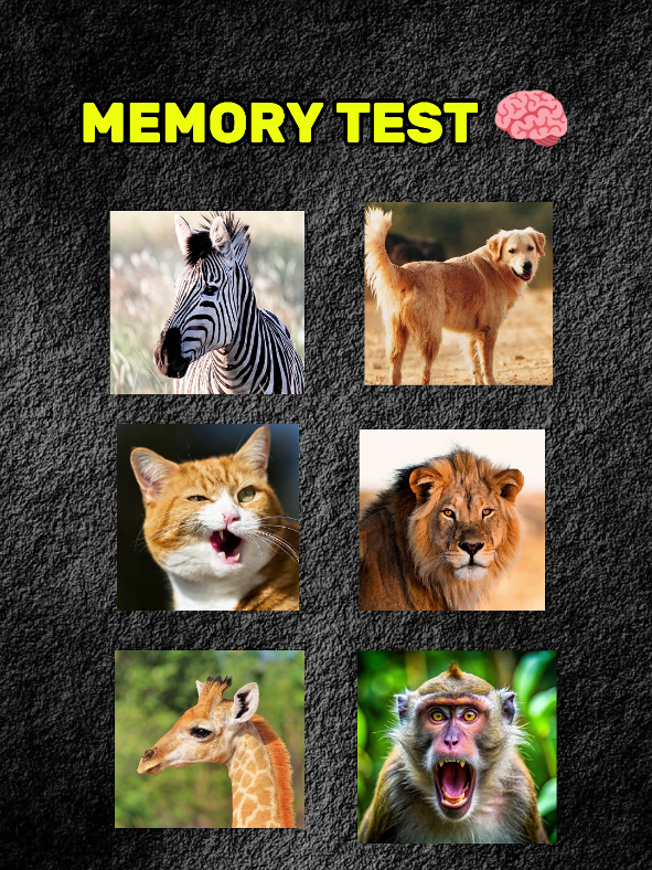 Only 1% Can Pass This Animal Memory Challenge!