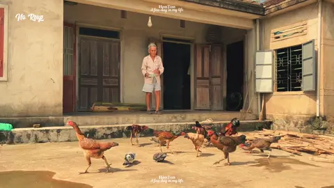 Người giữ kỉ niệm,  Ngày còn bé, nhà của ông là căn cứ địa đạo của bọn trẻ chúng mình tụ tập bày trò. Cả ông ngoại và ông nội mình đều nhiều con, nên sinh ra quá chừng là sấp nhỏ cháu. Tụi mình trạc tuổi nhau, đều thuộc lứa 9x. Tuổi thơ của tụi mình may mắn chưa bị 