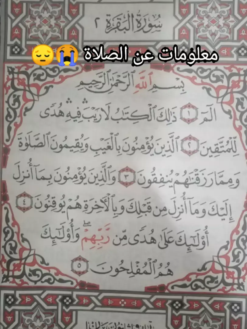 #القران_الكريم_راحه_نفسية😍🕋 #قرآن_كريم#راحةنفسية 