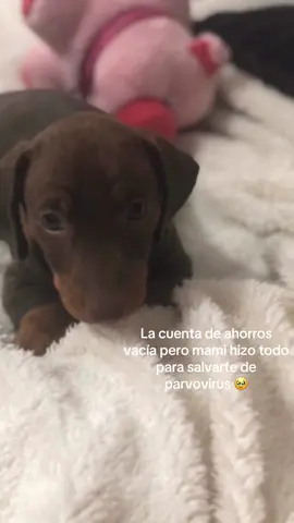 Te amo para siempre 🫶