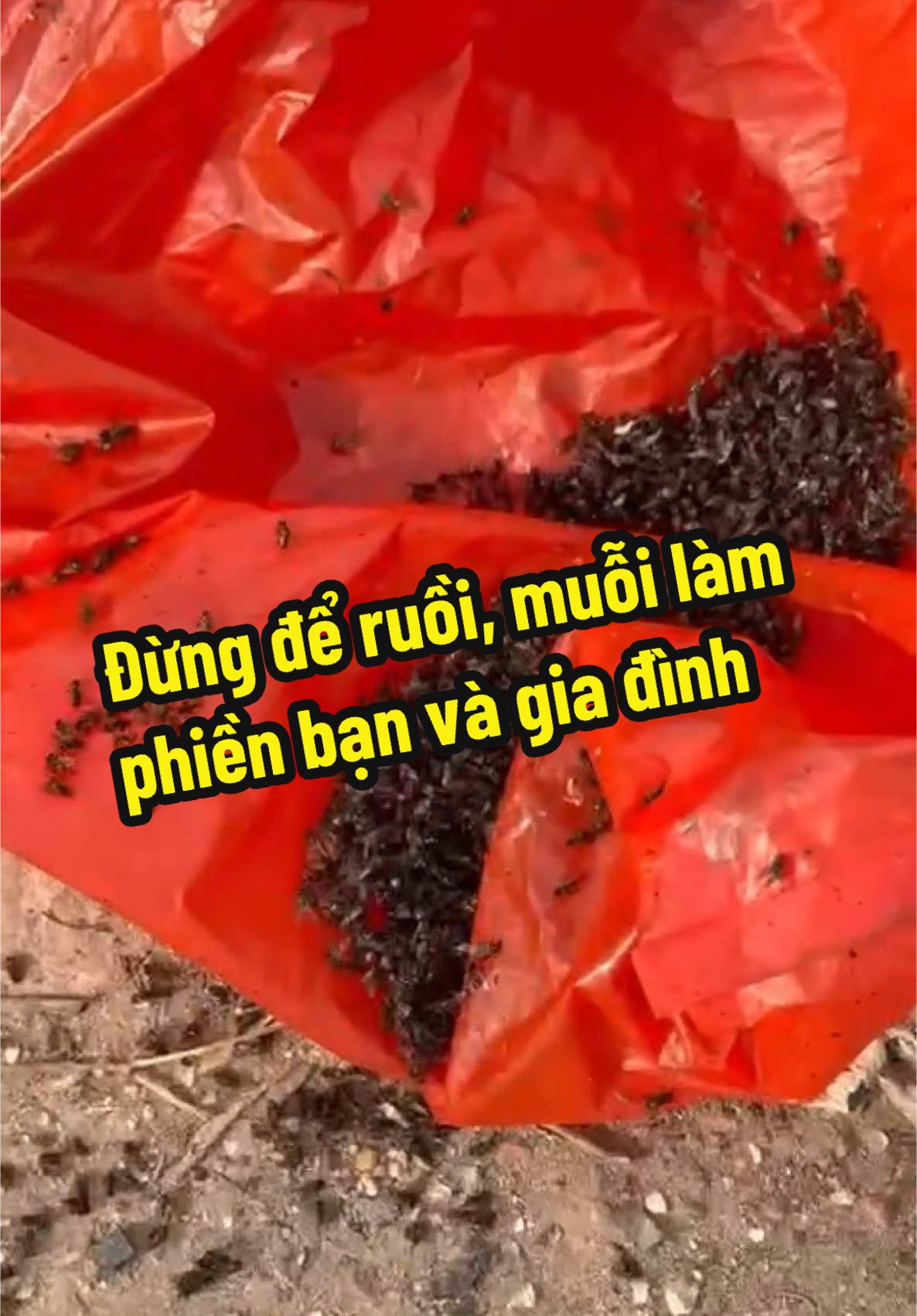 Ruồi muỗi cả rổ ntn thì phải sắm ngay chai xịt ruồi sinh học Aibio này đi các bác ơi! #ailla #aibio #xitruoimuoisinhhocaibio 