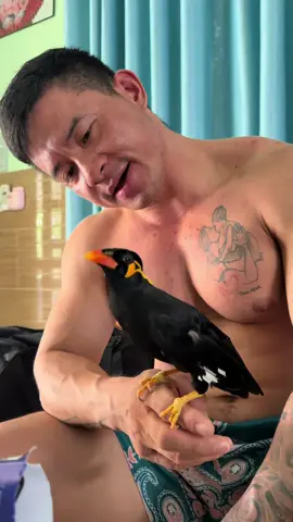 Chưa nghe lời lắm😅😅 #vanvatbietnoi  #chimbietnoi  #viral  #xuhuong  #สโลว์สมูท 